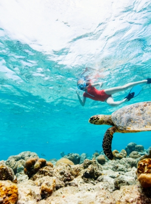 Snorkeling