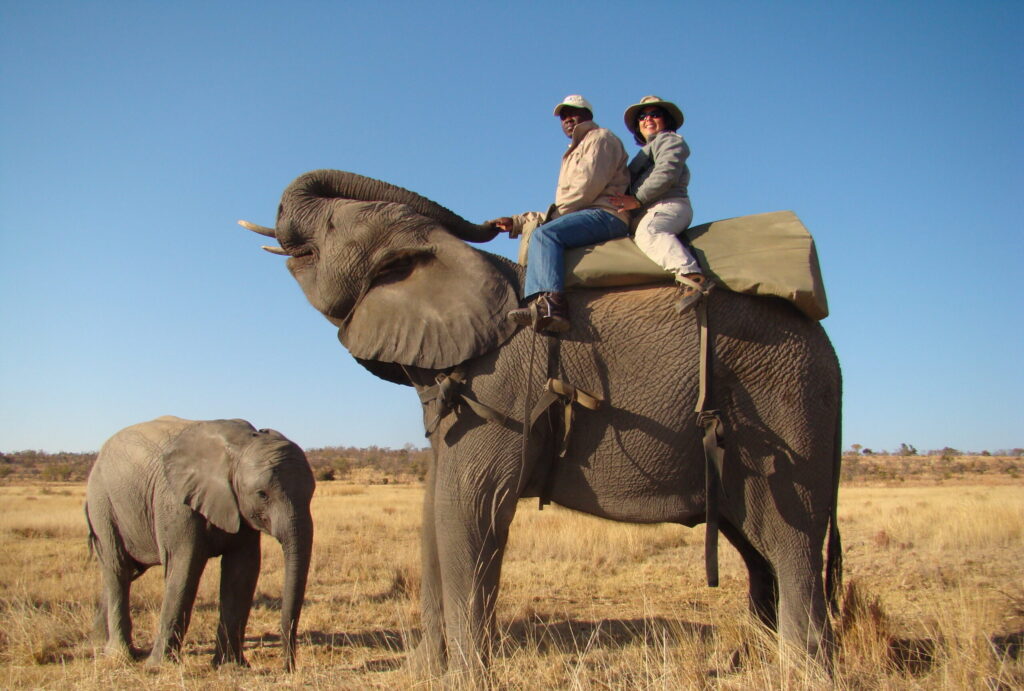 Africa