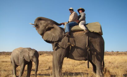 Africa
