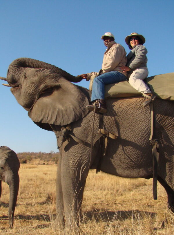 Africa