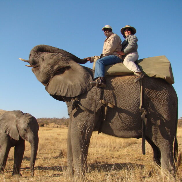 Africa
