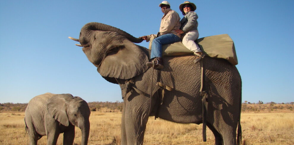 Africa